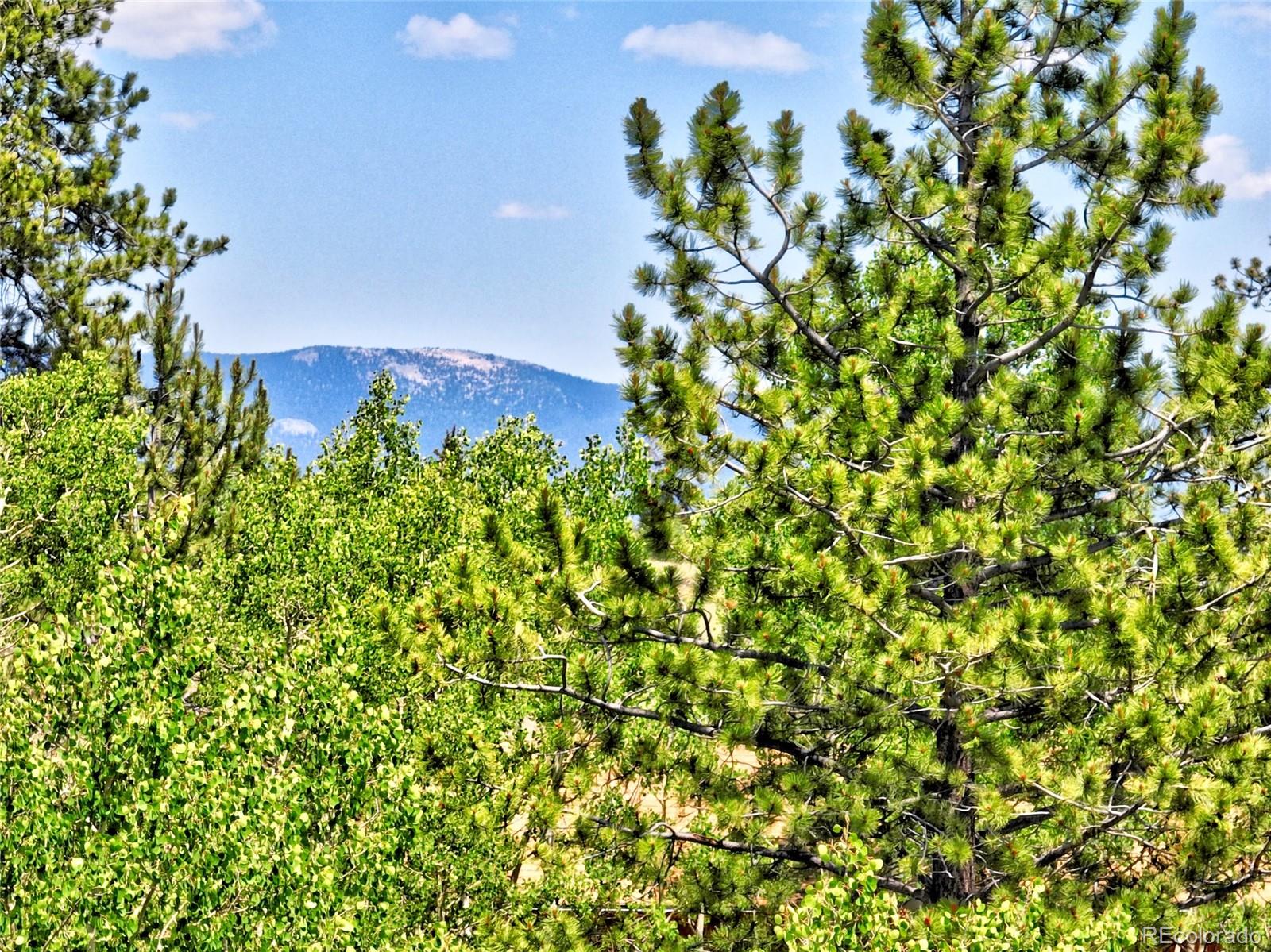 MLS Image #31 for 81  pistol way,como, Colorado