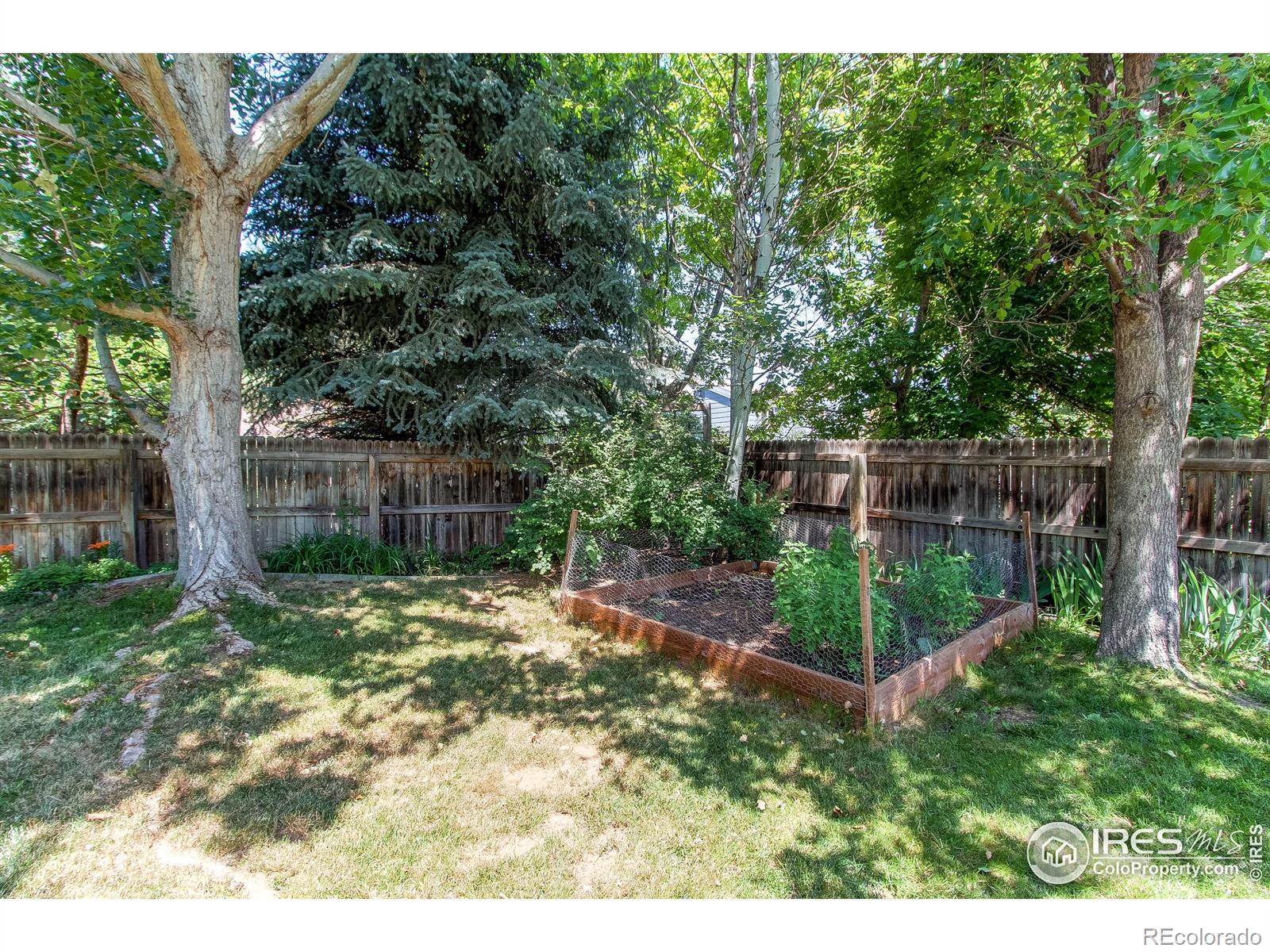 MLS Image #30 for 588  whiles court,erie, Colorado