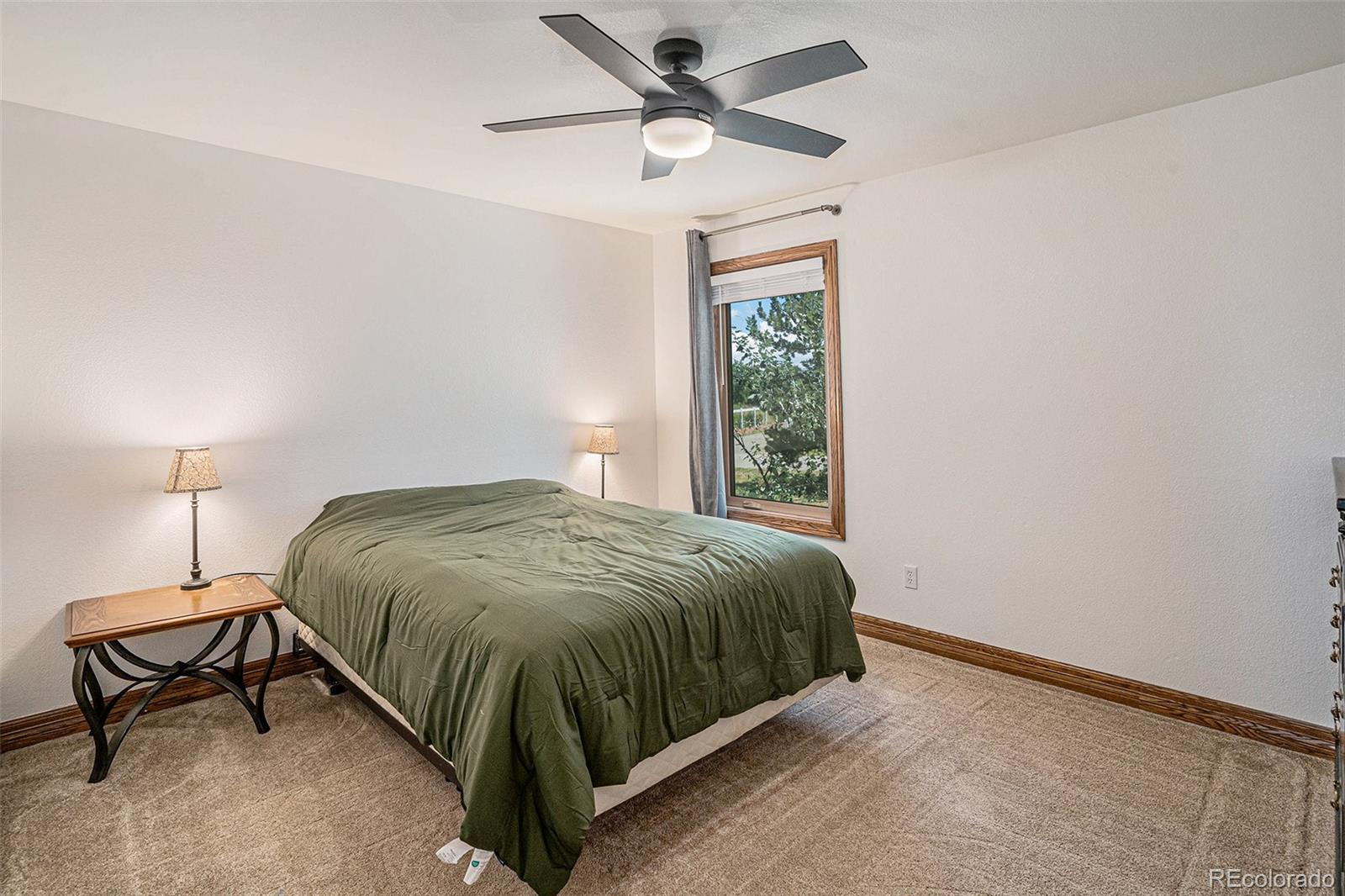 MLS Image #15 for 10837  rampart lane,littleton, Colorado