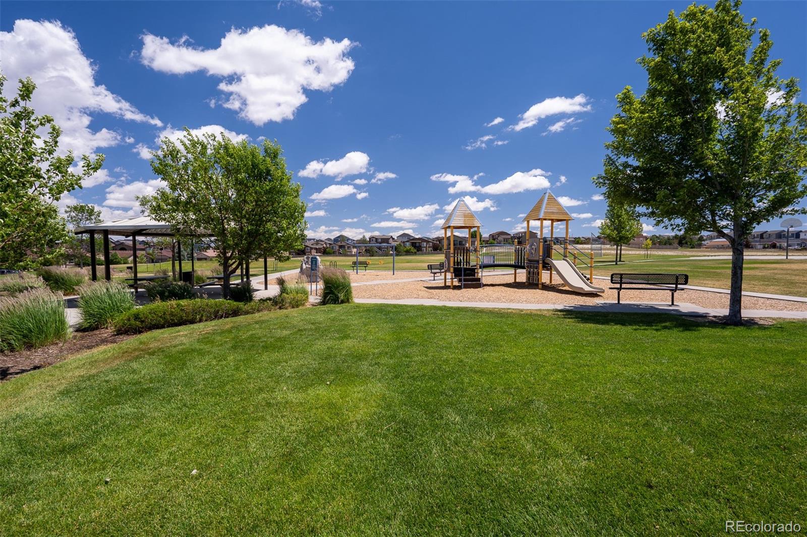 MLS Image #48 for 6272  barr point,colorado springs, Colorado