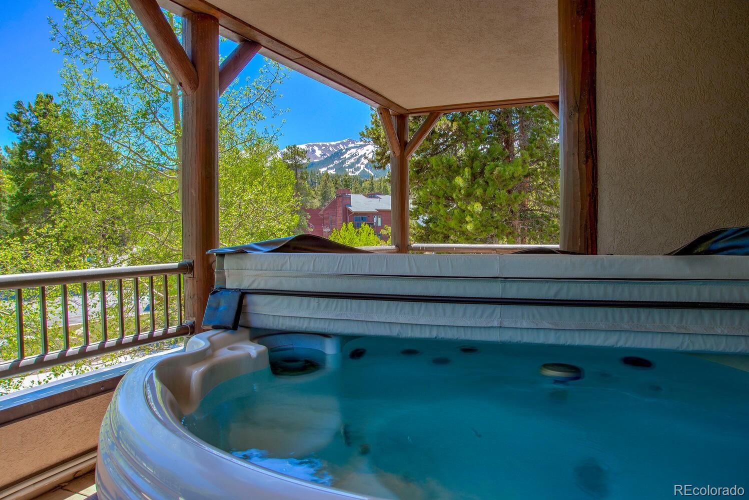 MLS Image #3 for 84  broken lance drive 209w,breckenridge, Colorado