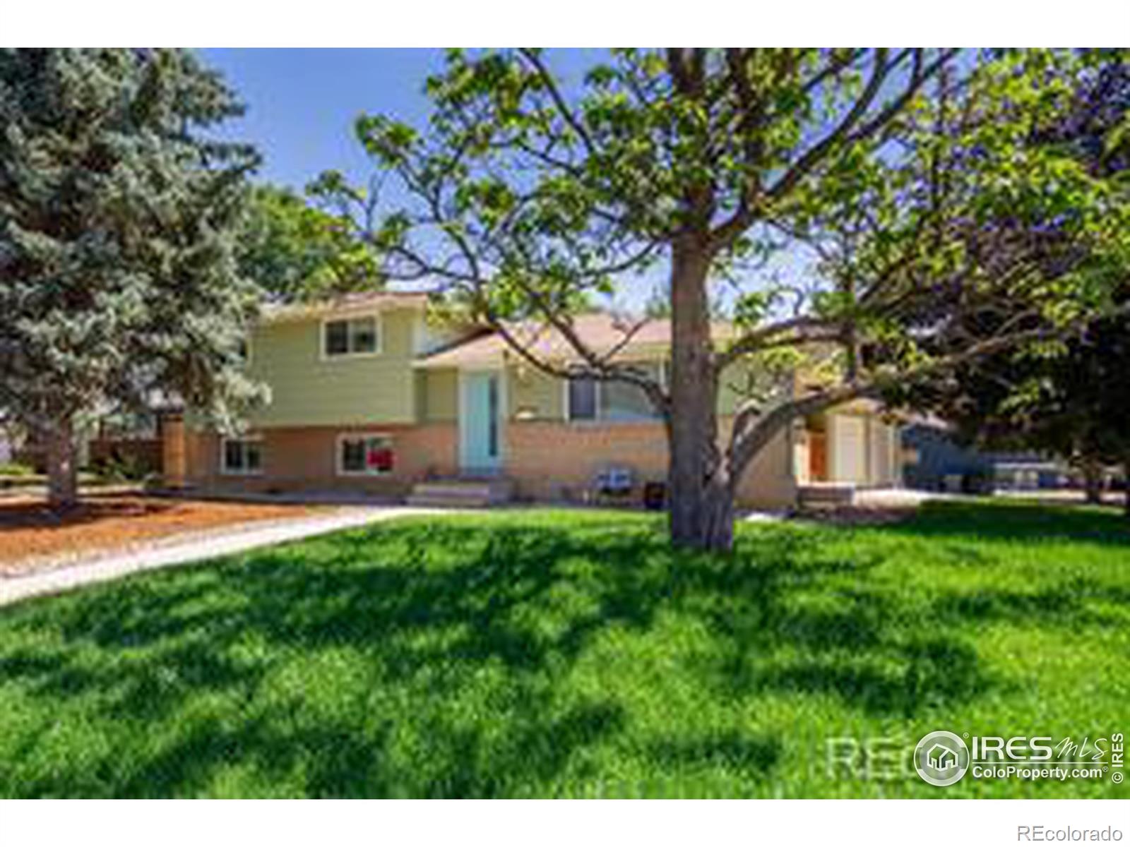 Report Image for 1402  Sherri Mar Street,Longmont, Colorado