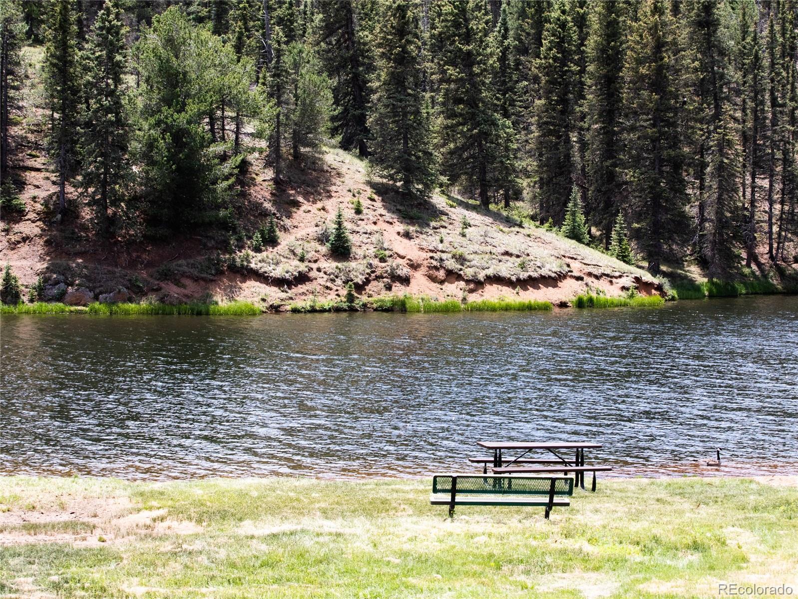 MLS Image #31 for 183  candle lake drive,divide, Colorado