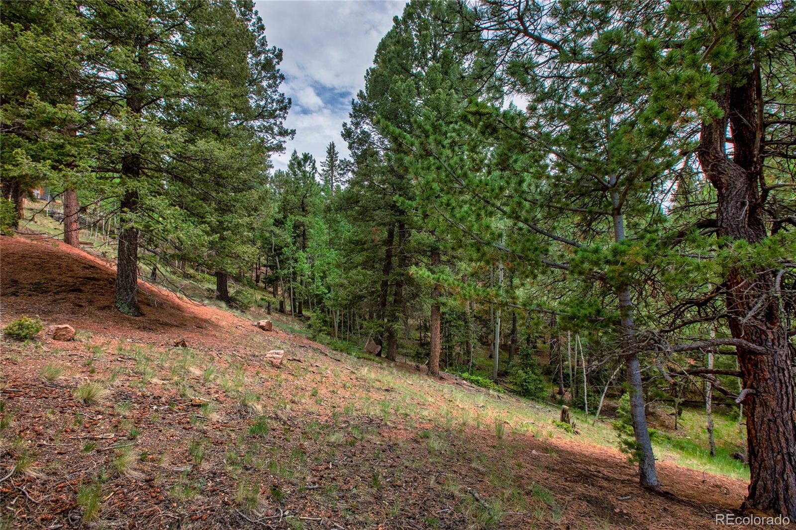 MLS Image #35 for 183  candle lake drive,divide, Colorado