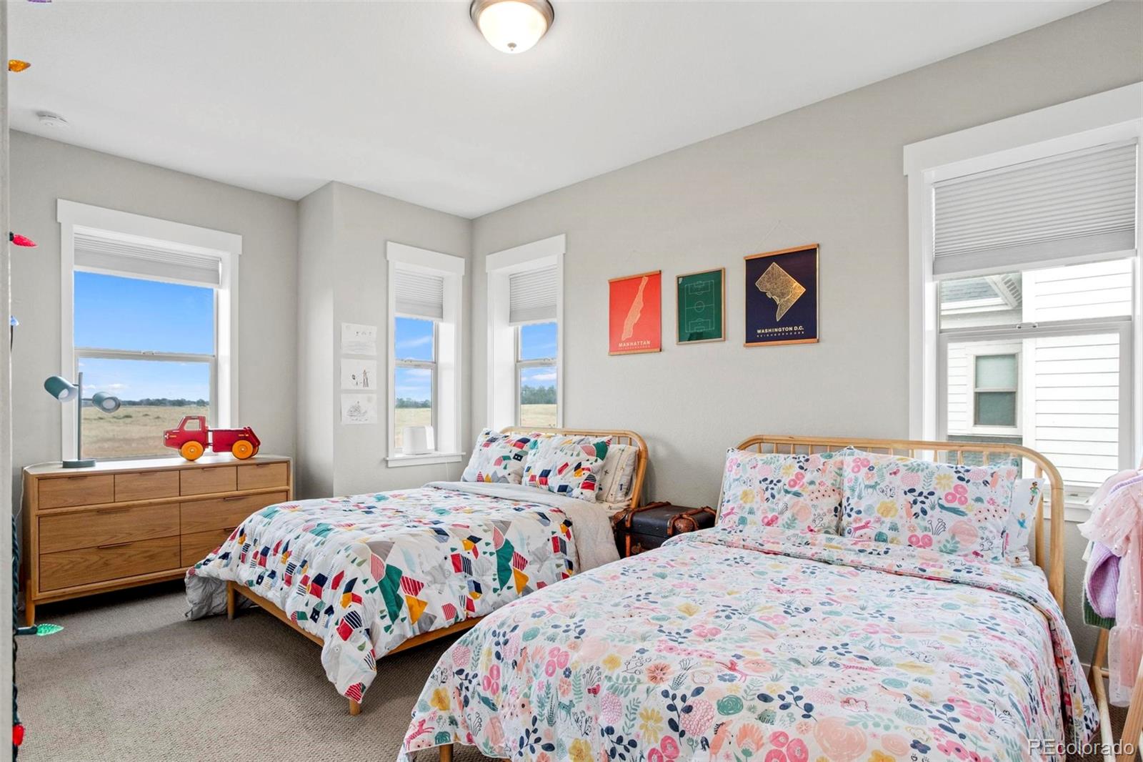 MLS Image #22 for 5925  hanover street,denver, Colorado