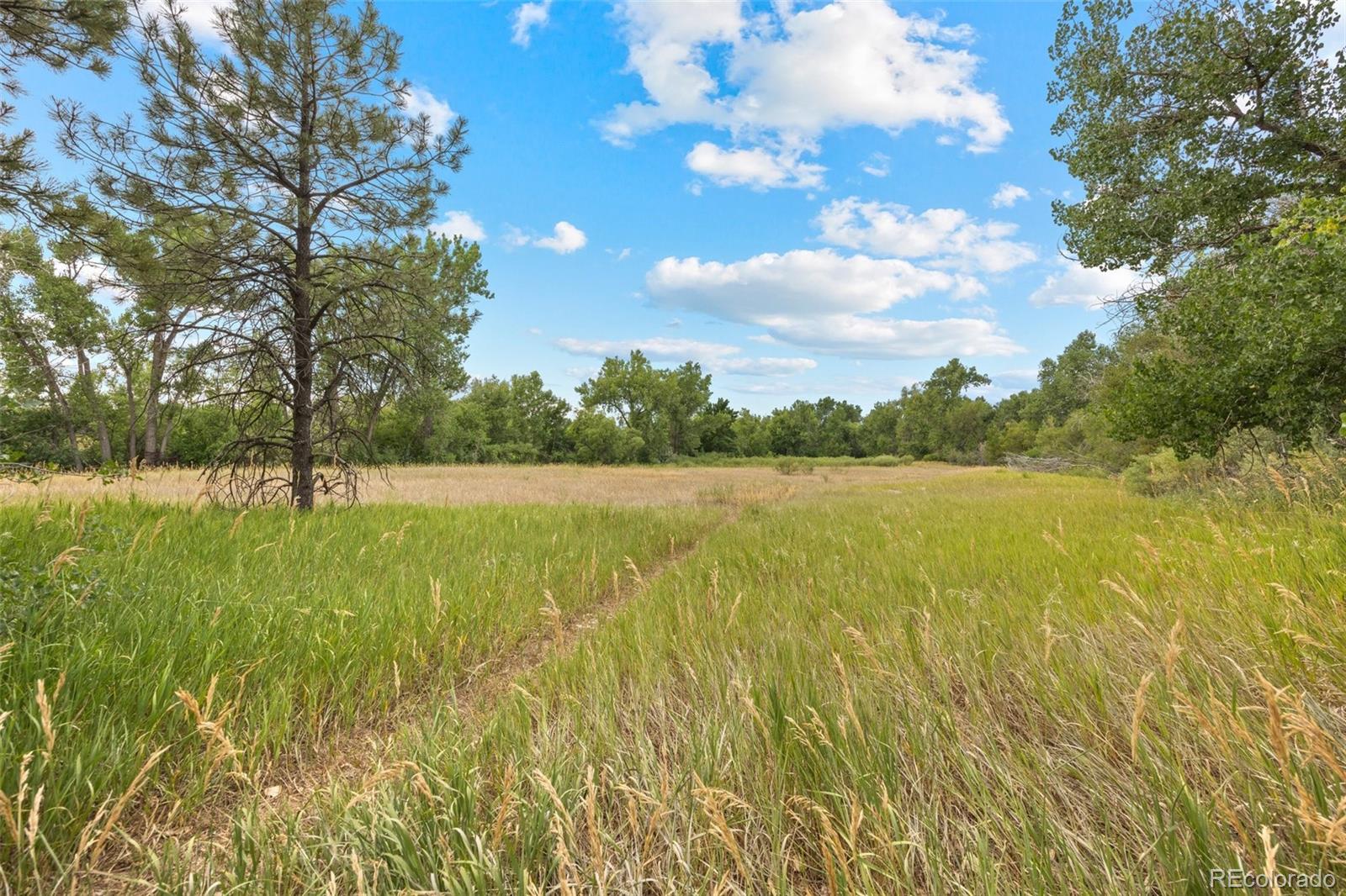 MLS Image #29 for 8301 w virginia avenue,lakewood, Colorado