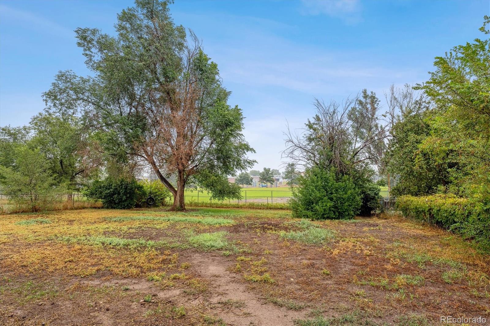 MLS Image #17 for 1920 w plum street,fort collins, Colorado