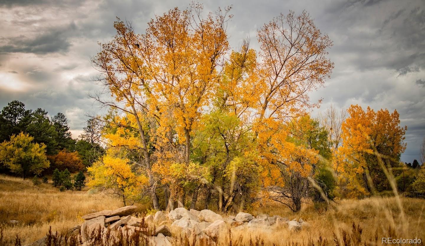 MLS Image #37 for 1370 s sierra drive,castle rock, Colorado