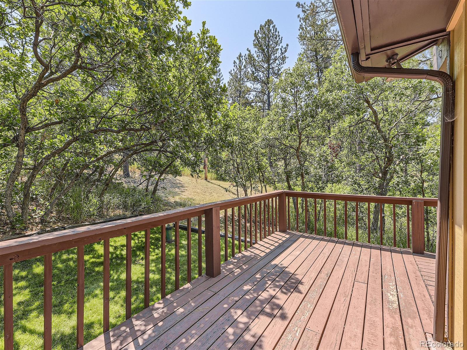 MLS Image #20 for 9354  comanche pines drive,franktown, Colorado