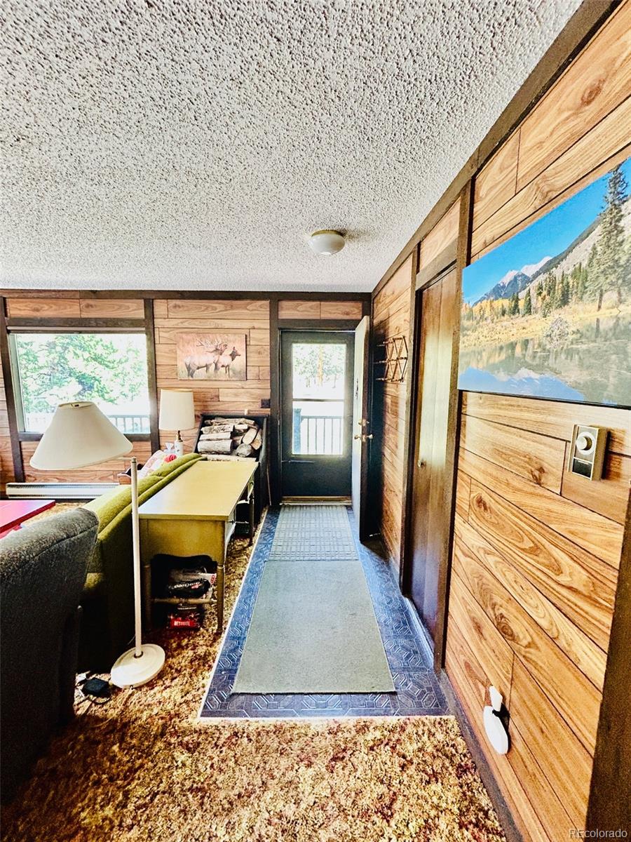 MLS Image #13 for 20601  county road 306 ,buena vista, Colorado