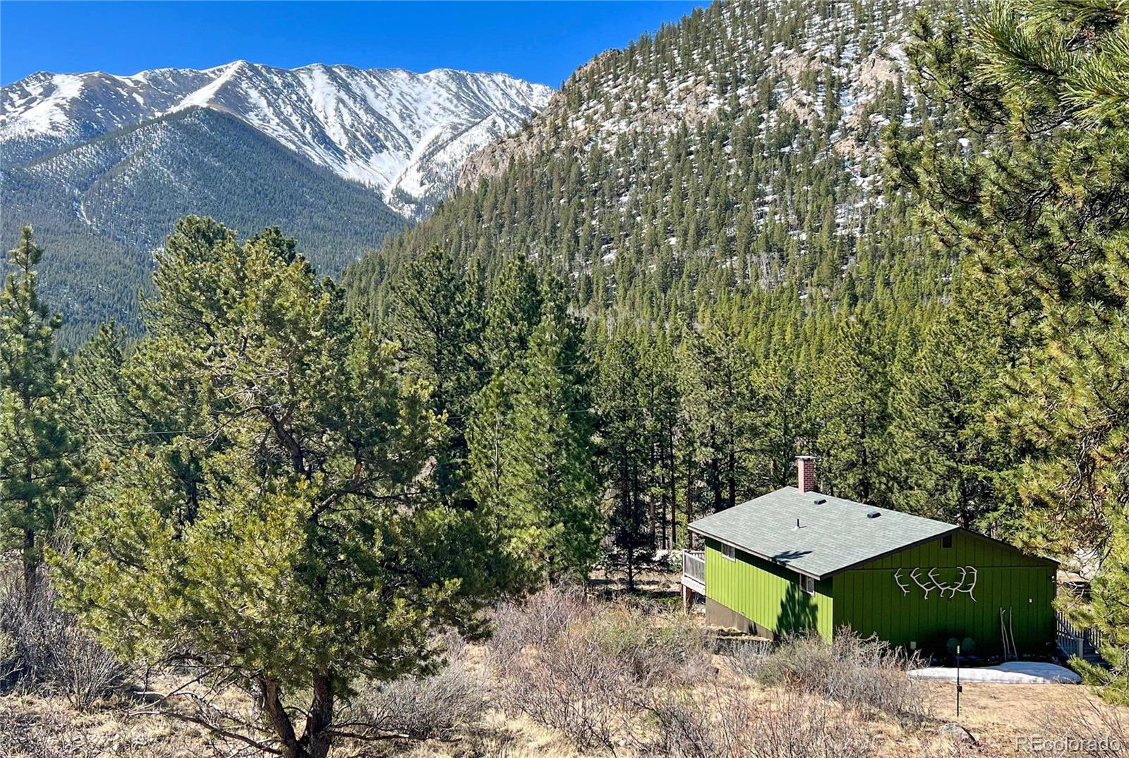 MLS Image #3 for 20601  county road 306 ,buena vista, Colorado