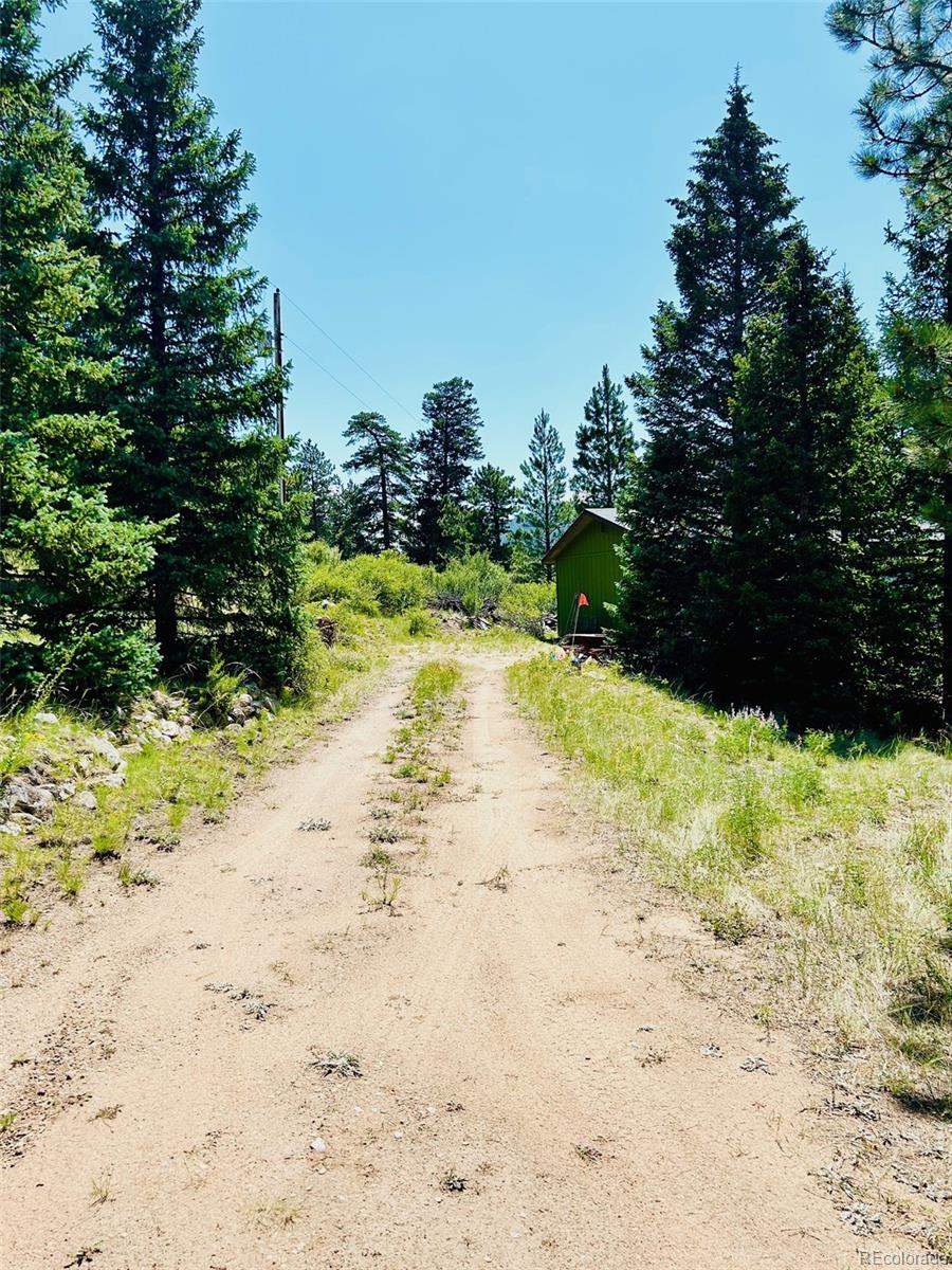 MLS Image #34 for 20601  county road 306 ,buena vista, Colorado