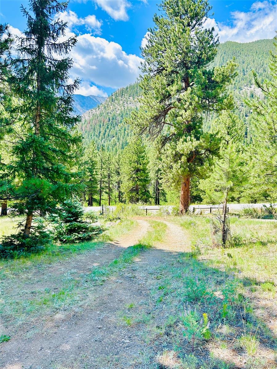 MLS Image #35 for 20601  county road 306 ,buena vista, Colorado