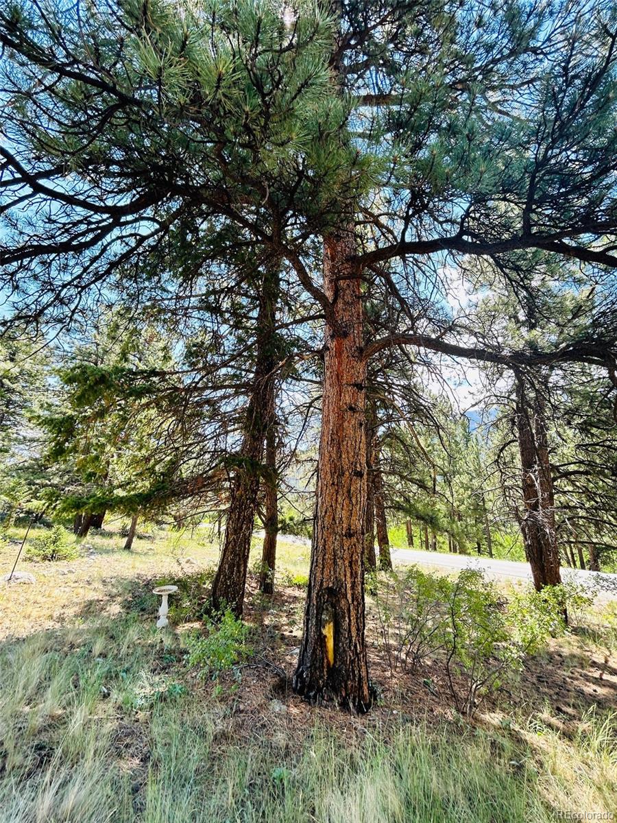 MLS Image #36 for 20601  county road 306 ,buena vista, Colorado