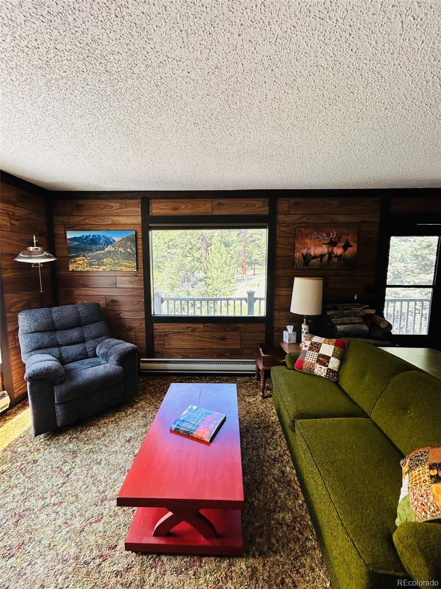 MLS Image #9 for 20601  county road 306 ,buena vista, Colorado