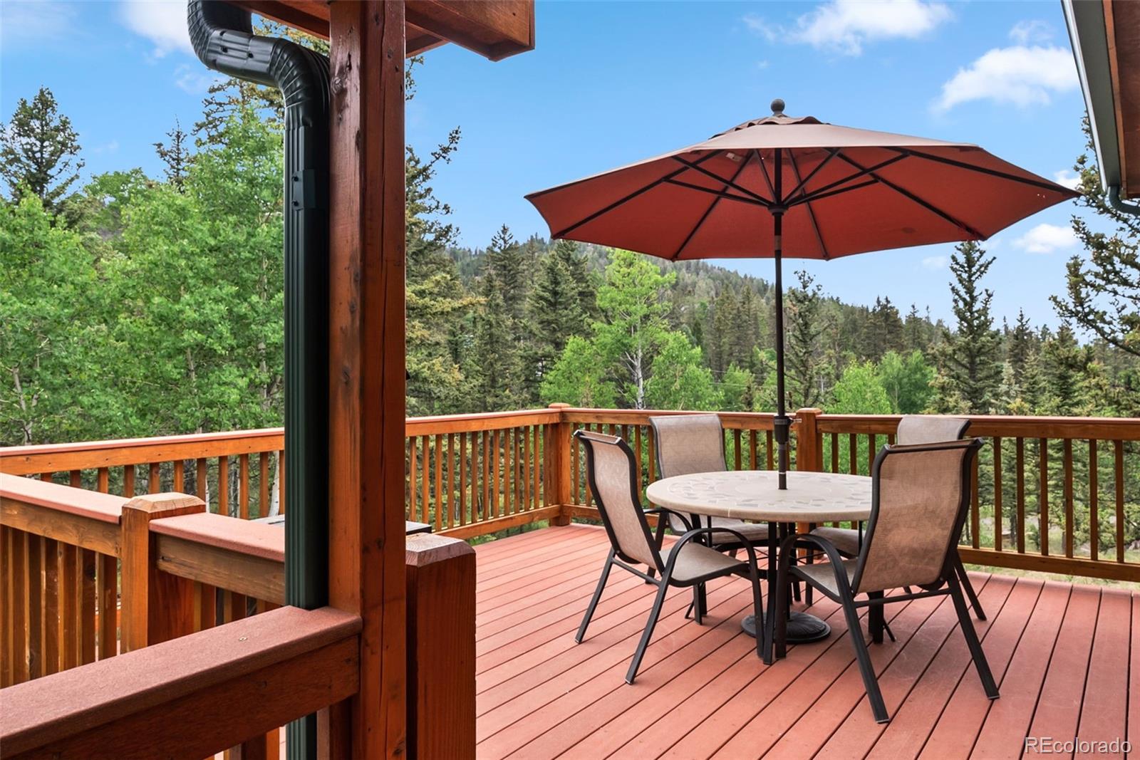 MLS Image #16 for 31  cradle board court,como, Colorado