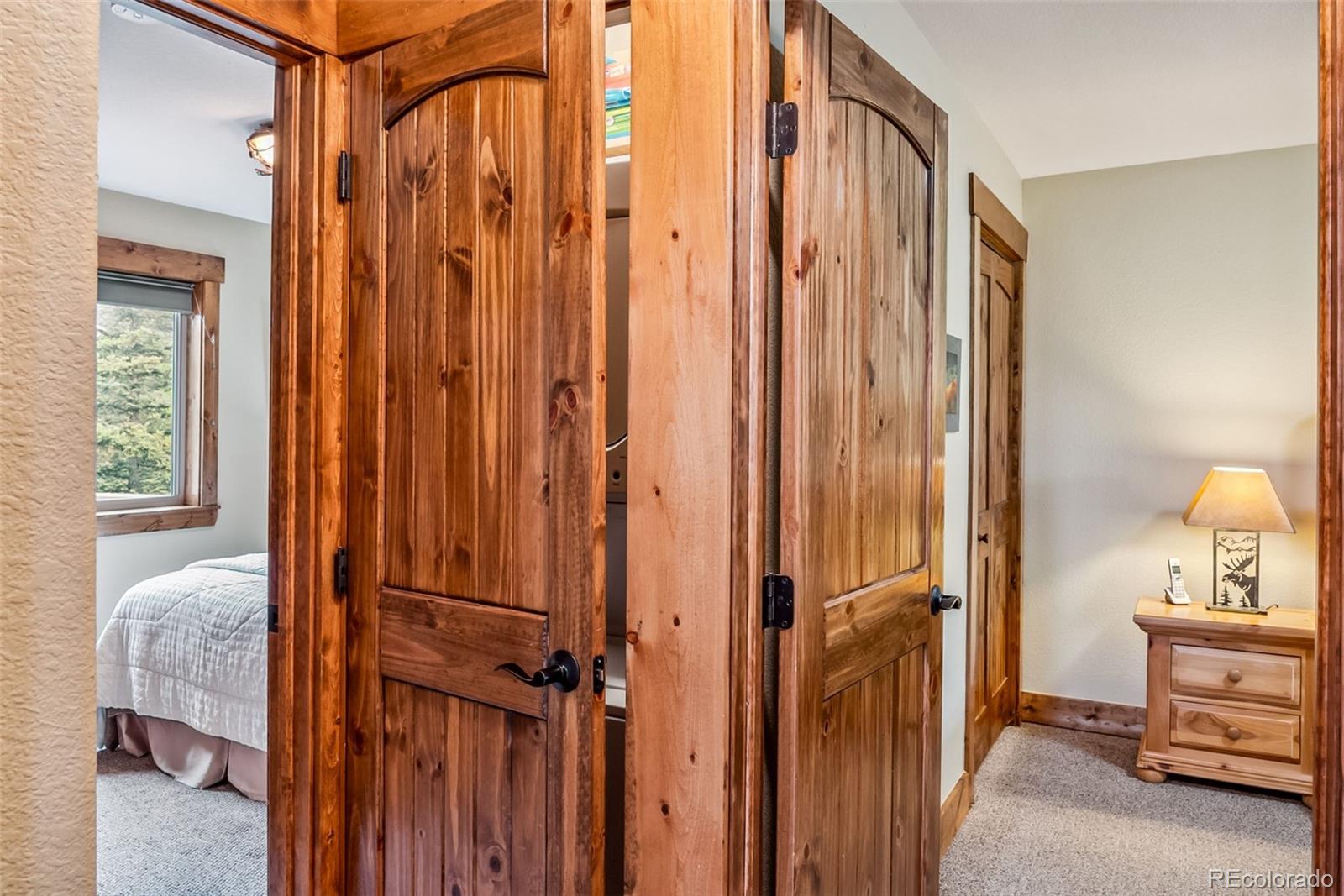 MLS Image #22 for 31  cradle board court,como, Colorado