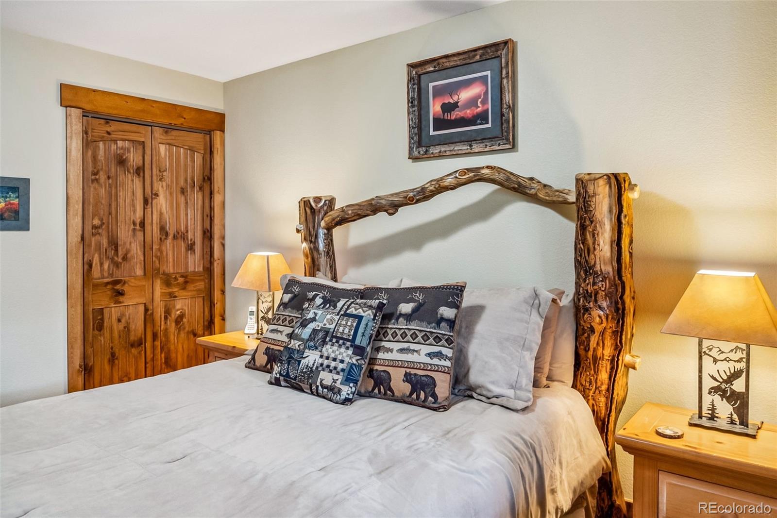 MLS Image #25 for 31  cradle board court,como, Colorado