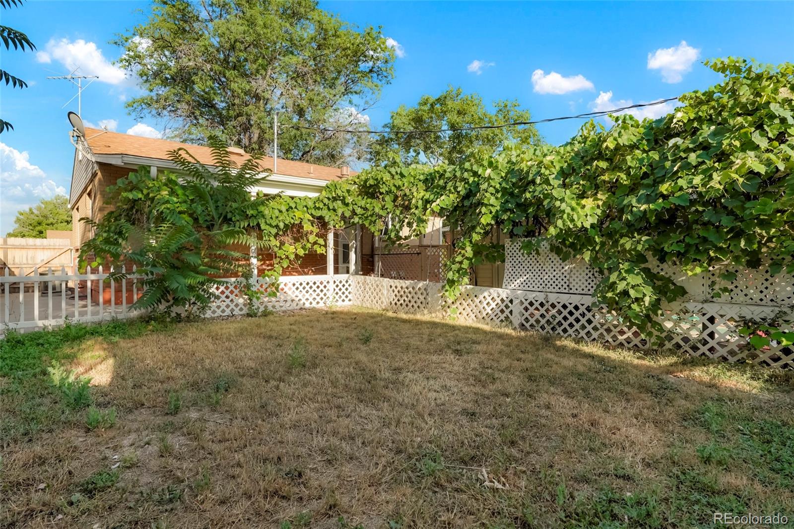 MLS Image #25 for 7261  avrum drive,denver, Colorado