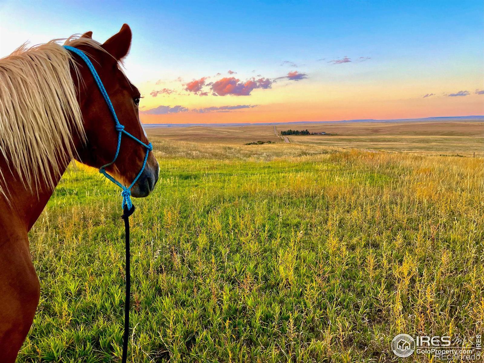 MLS Image #18 for 58114  county road 15 ,carr, Colorado