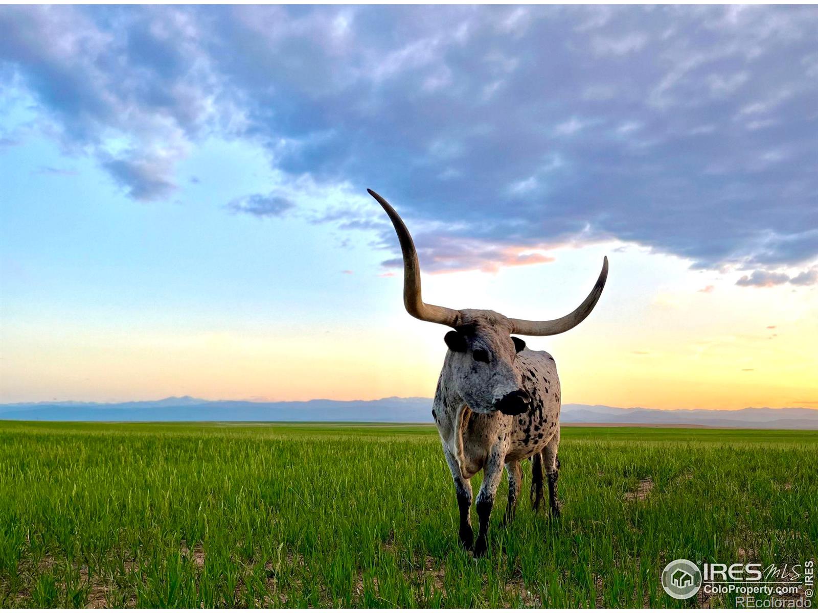MLS Image #19 for 58114  county road 15 ,carr, Colorado