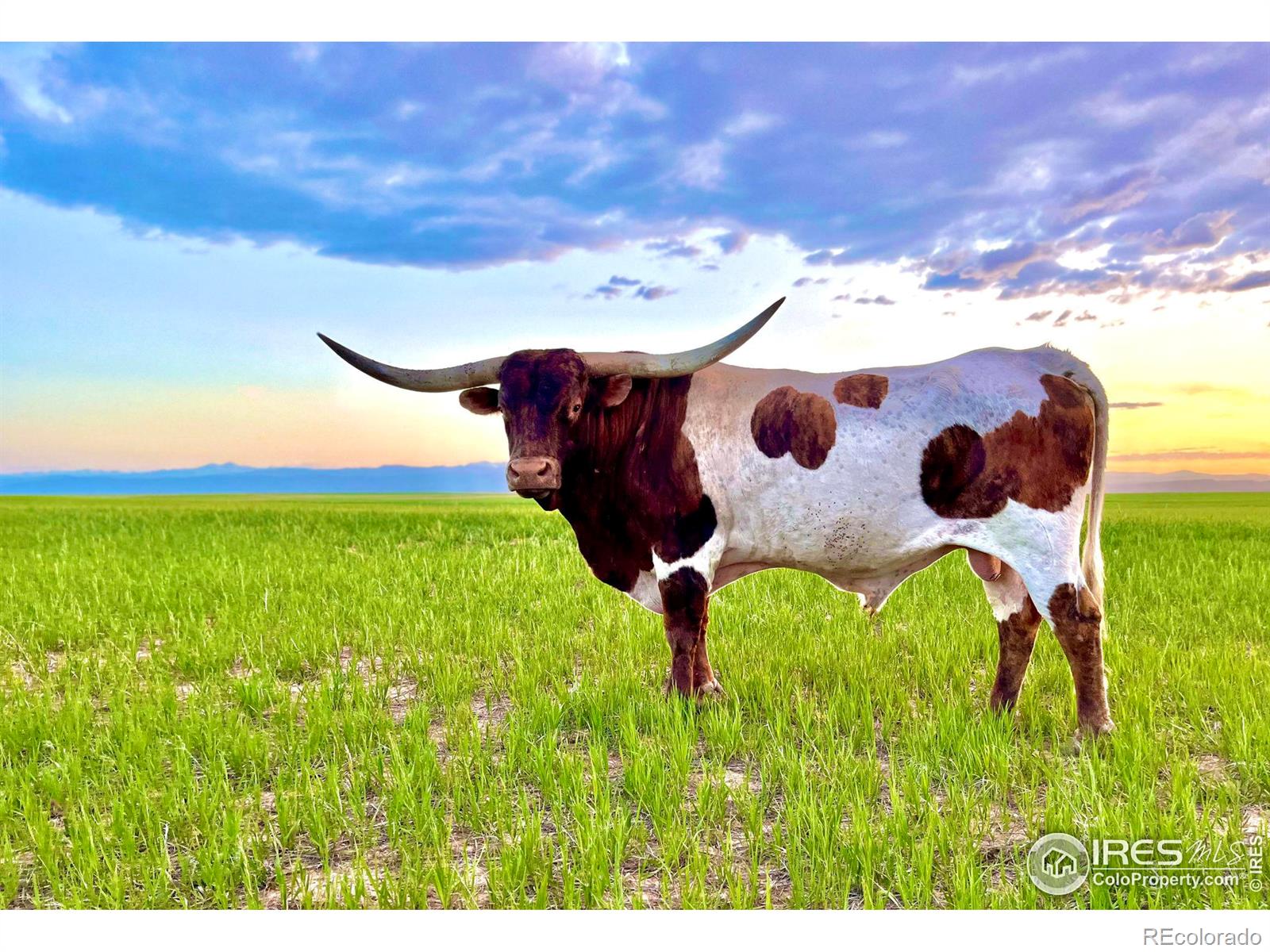 MLS Image #20 for 58114  county road 15 ,carr, Colorado