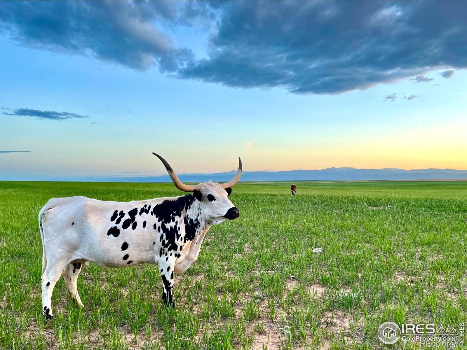 MLS Image #21 for 58114  county road 15 ,carr, Colorado