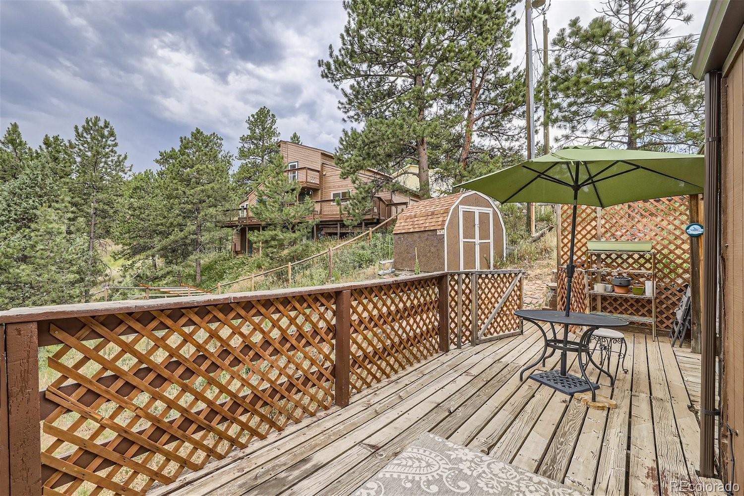 MLS Image #20 for 26256  grateful way,kittredge, Colorado