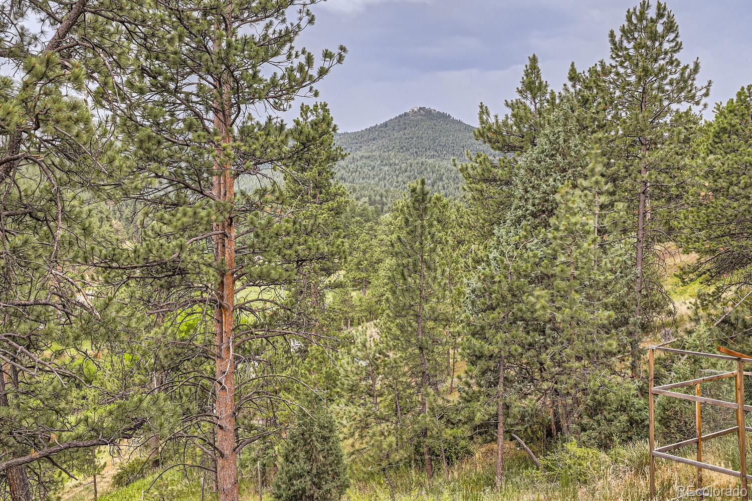 MLS Image #23 for 26256  grateful way,kittredge, Colorado