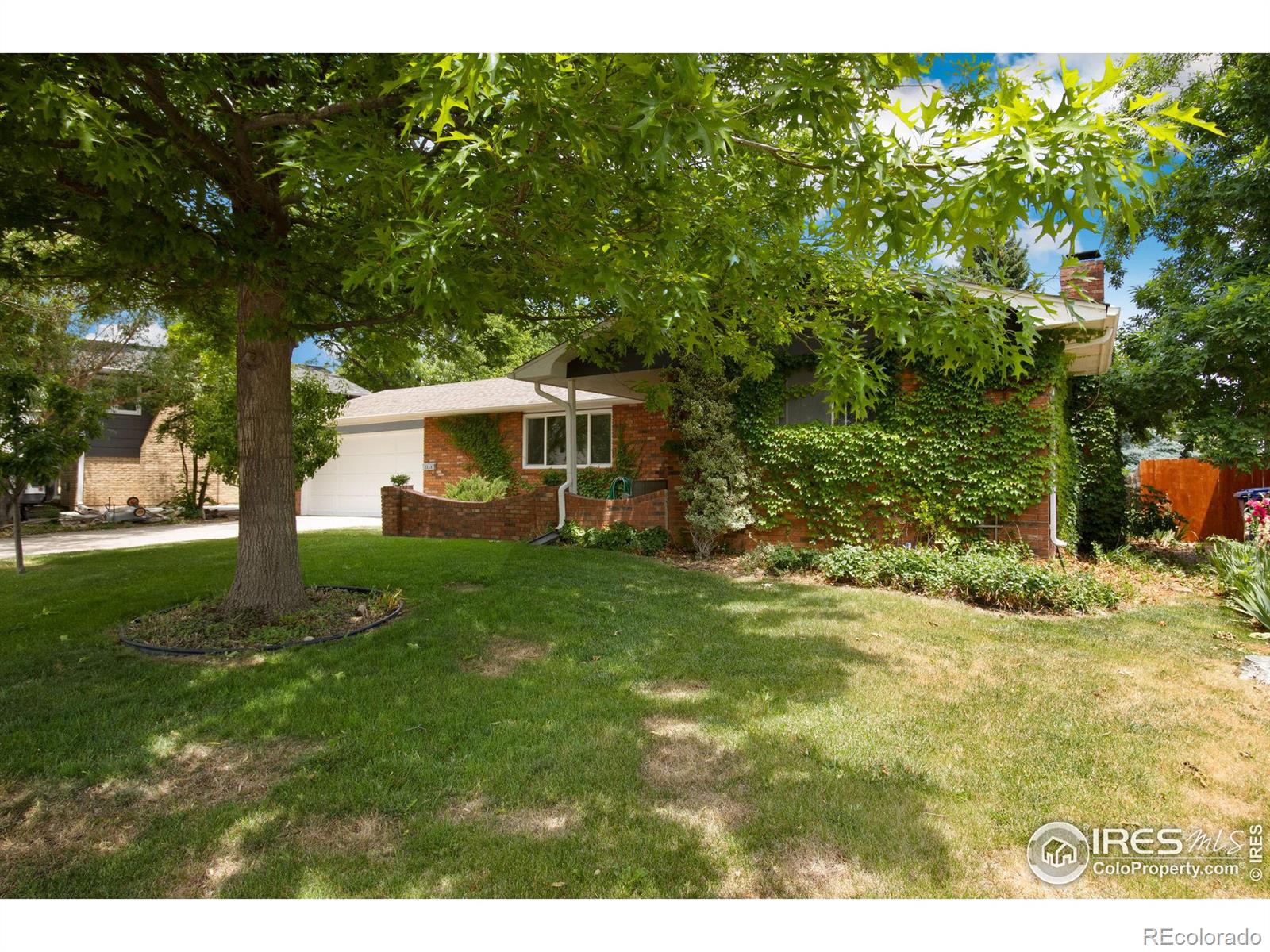 MLS Image #3 for 2218  cameo avenue,loveland, Colorado