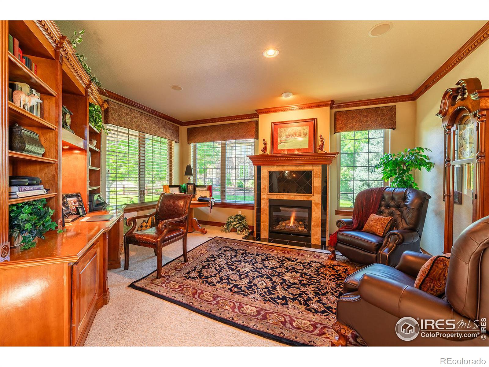 MLS Image #8 for 1537  stardance circle,longmont, Colorado