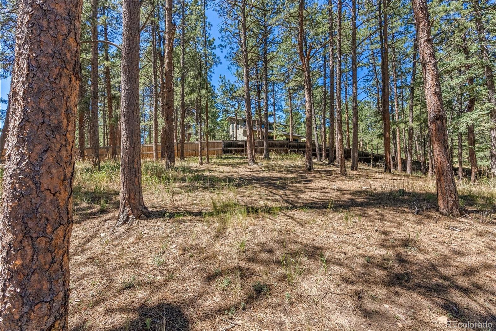 MLS Image #32 for 5365 s hatch drive,evergreen, Colorado