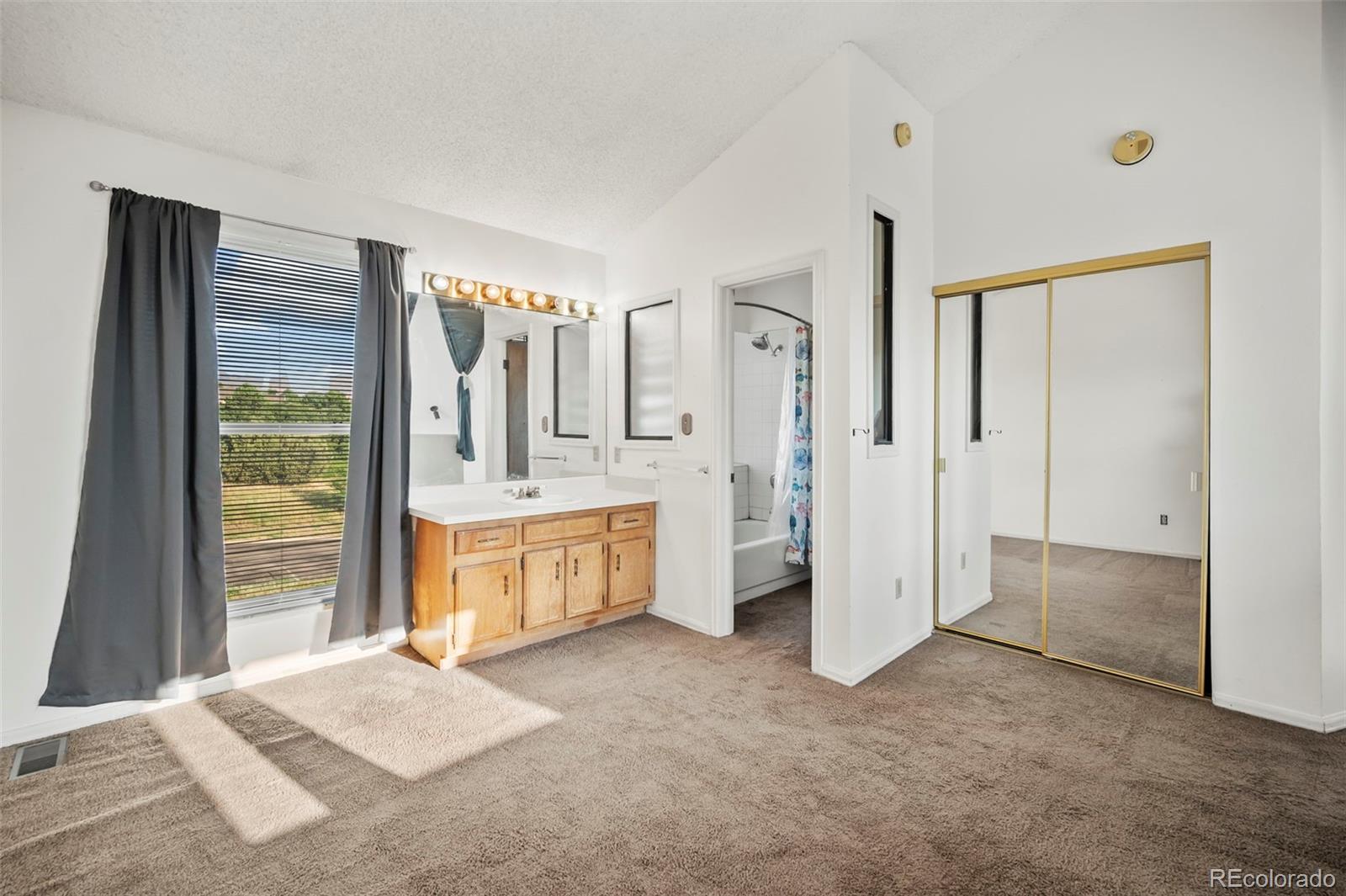 MLS Image #11 for 5526  dunbar court,colorado springs, Colorado