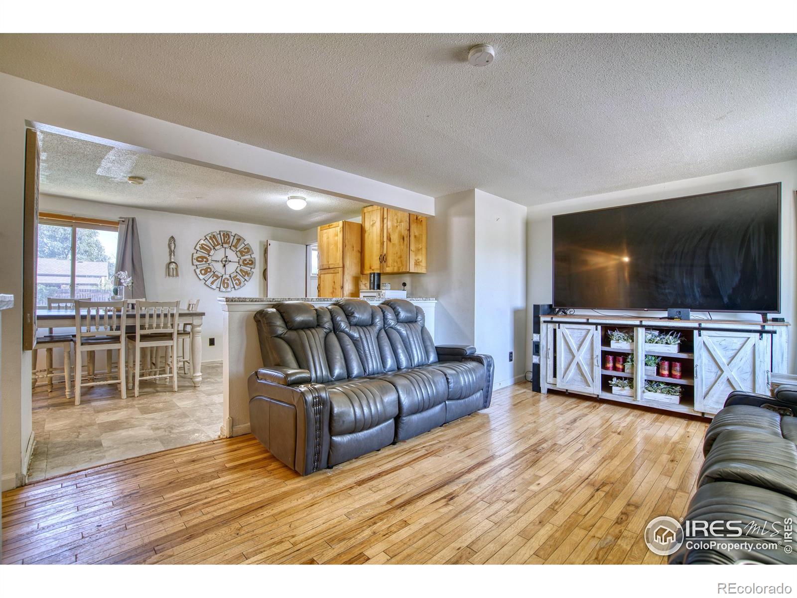 MLS Image #3 for 1016  pacific court,fort lupton, Colorado