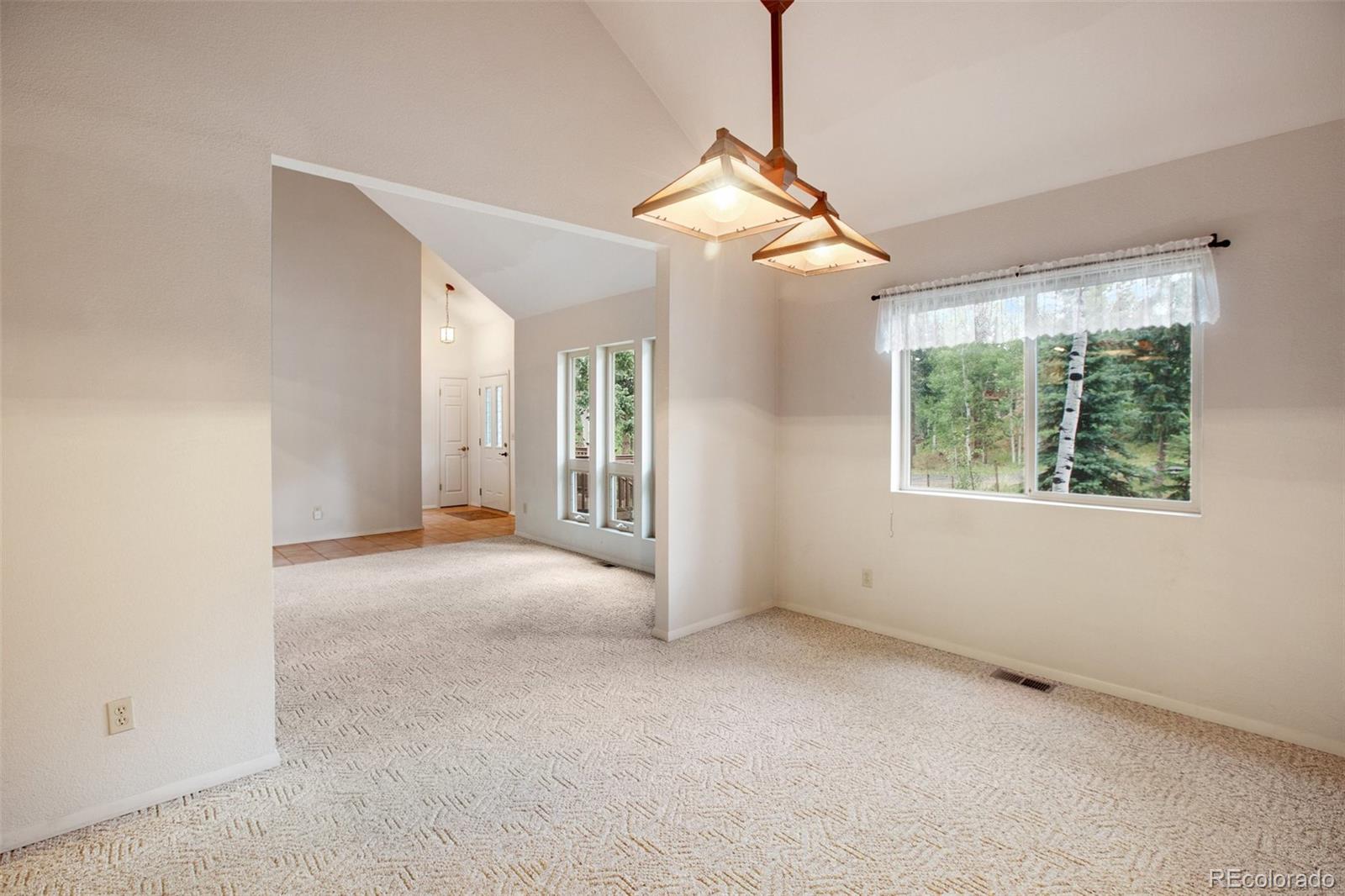 MLS Image #10 for 2760  sunnywood avenue,woodland park, Colorado