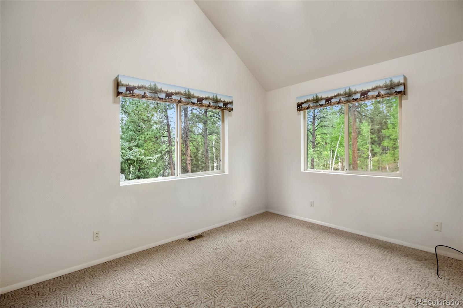 MLS Image #19 for 2760  sunnywood avenue,woodland park, Colorado