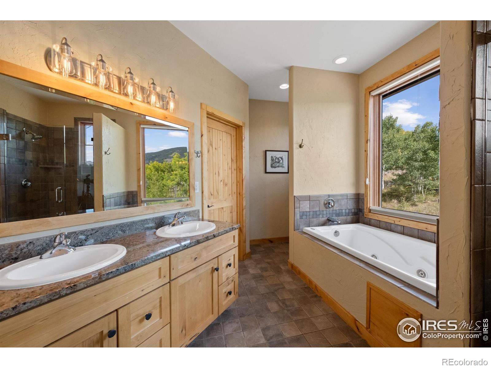 MLS Image #22 for 817  ptarmigan trail,silverthorne, Colorado