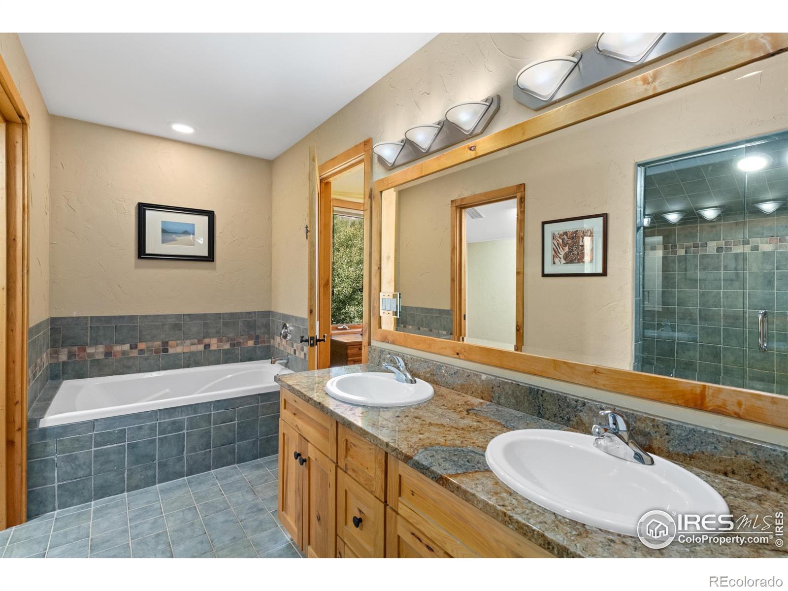 MLS Image #23 for 817  ptarmigan trail,silverthorne, Colorado