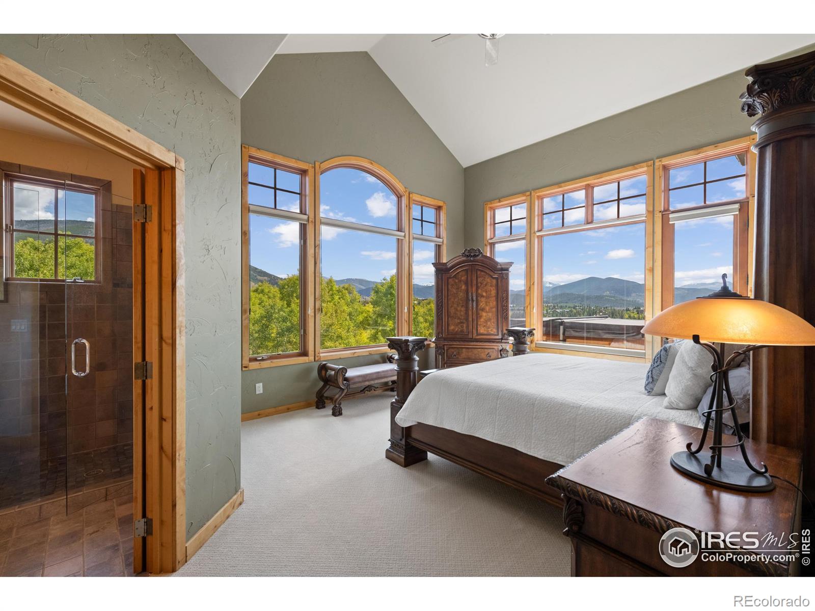 MLS Image #25 for 817  ptarmigan trail,silverthorne, Colorado