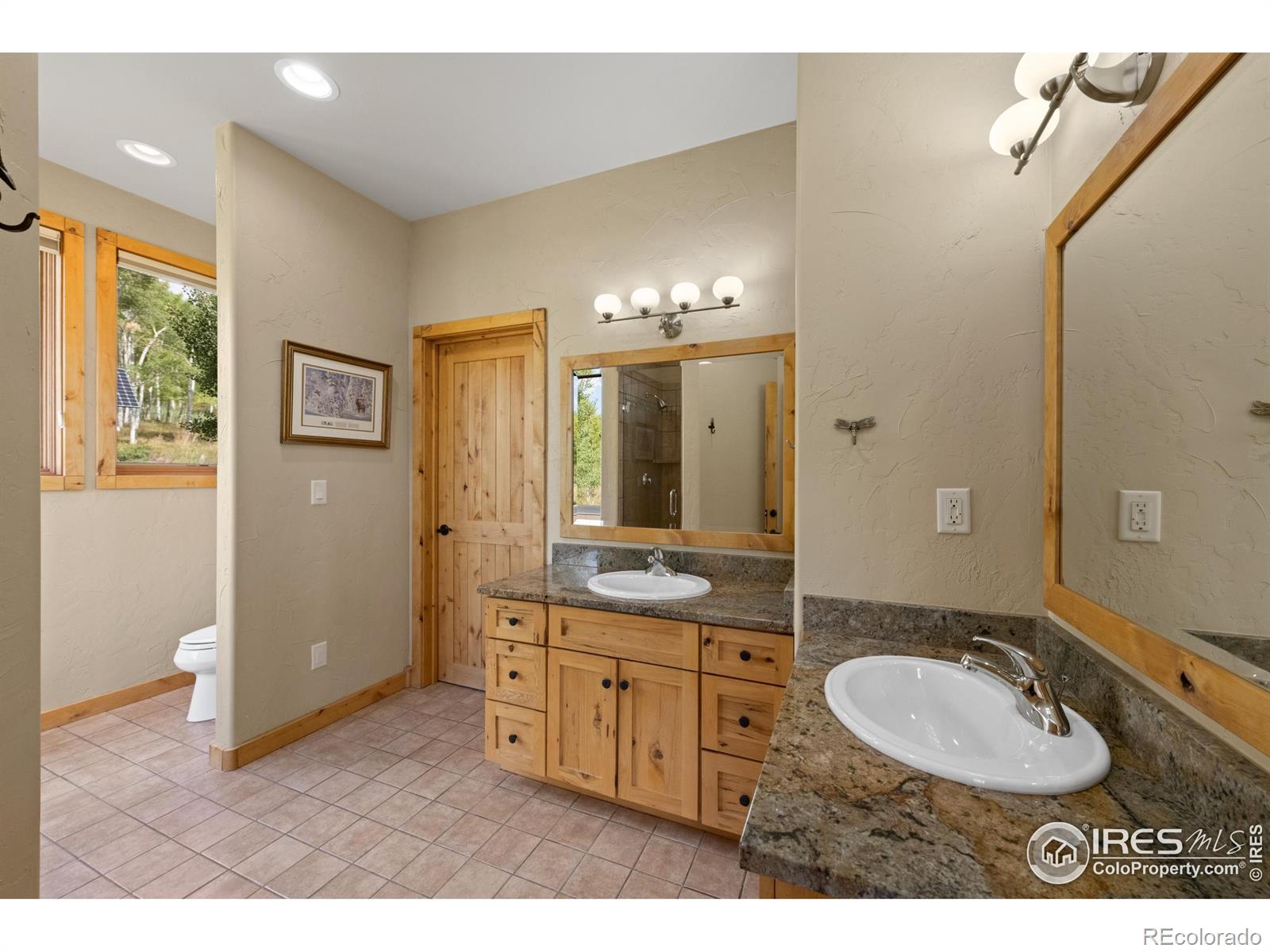 MLS Image #26 for 817  ptarmigan trail,silverthorne, Colorado