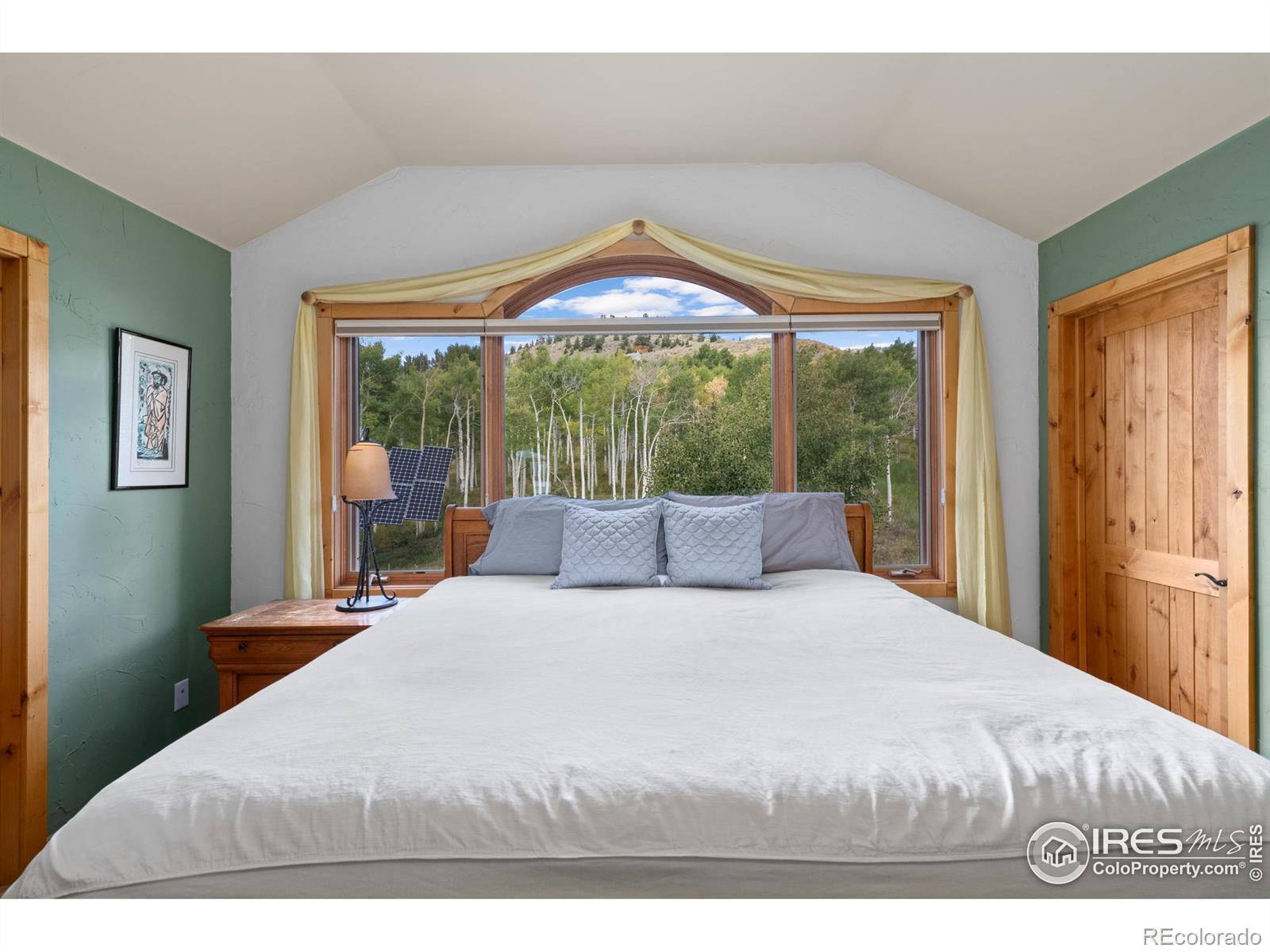 MLS Image #28 for 817  ptarmigan trail,silverthorne, Colorado