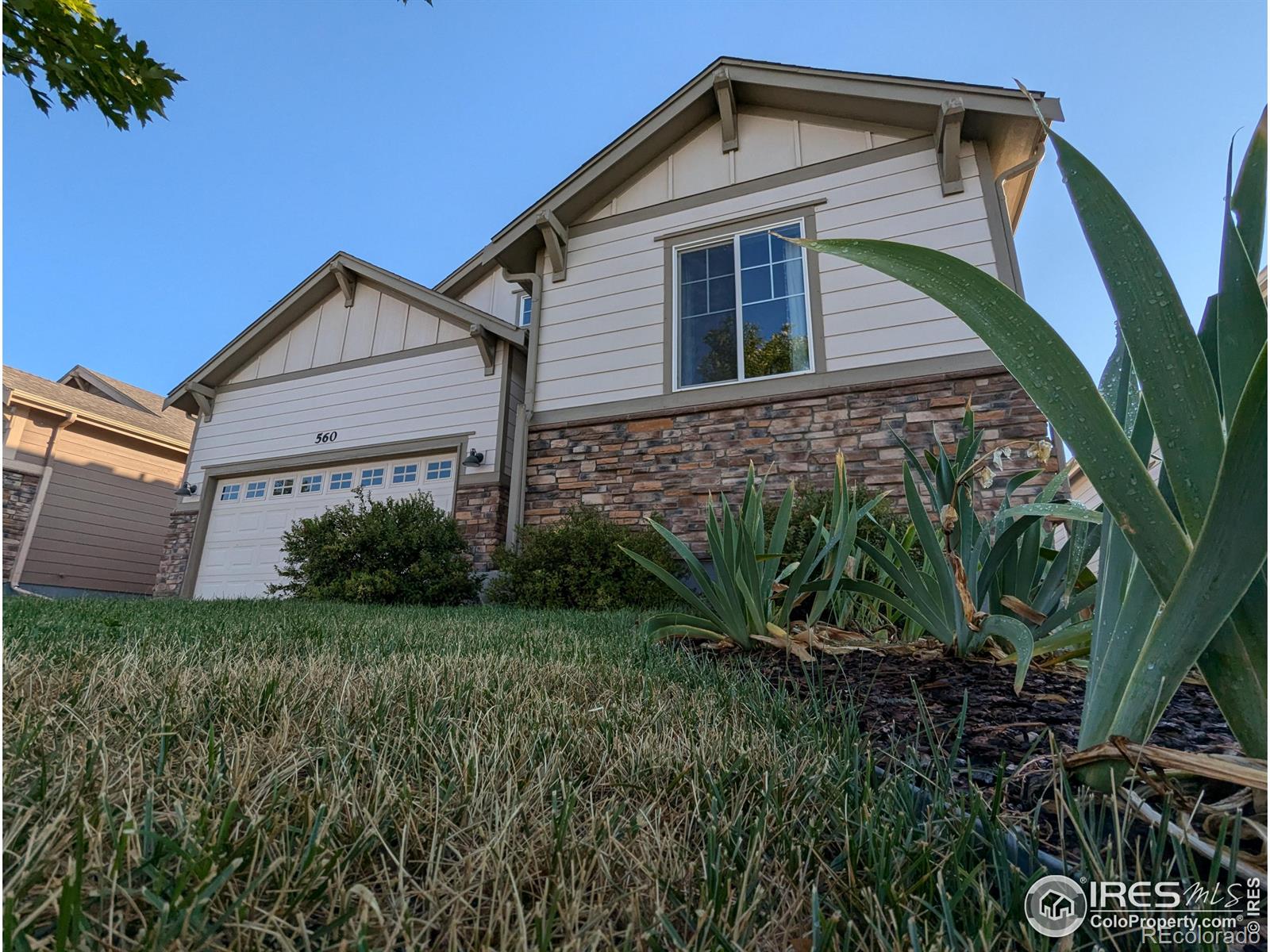 MLS Image #2 for 560  ten gallon drive,berthoud, Colorado