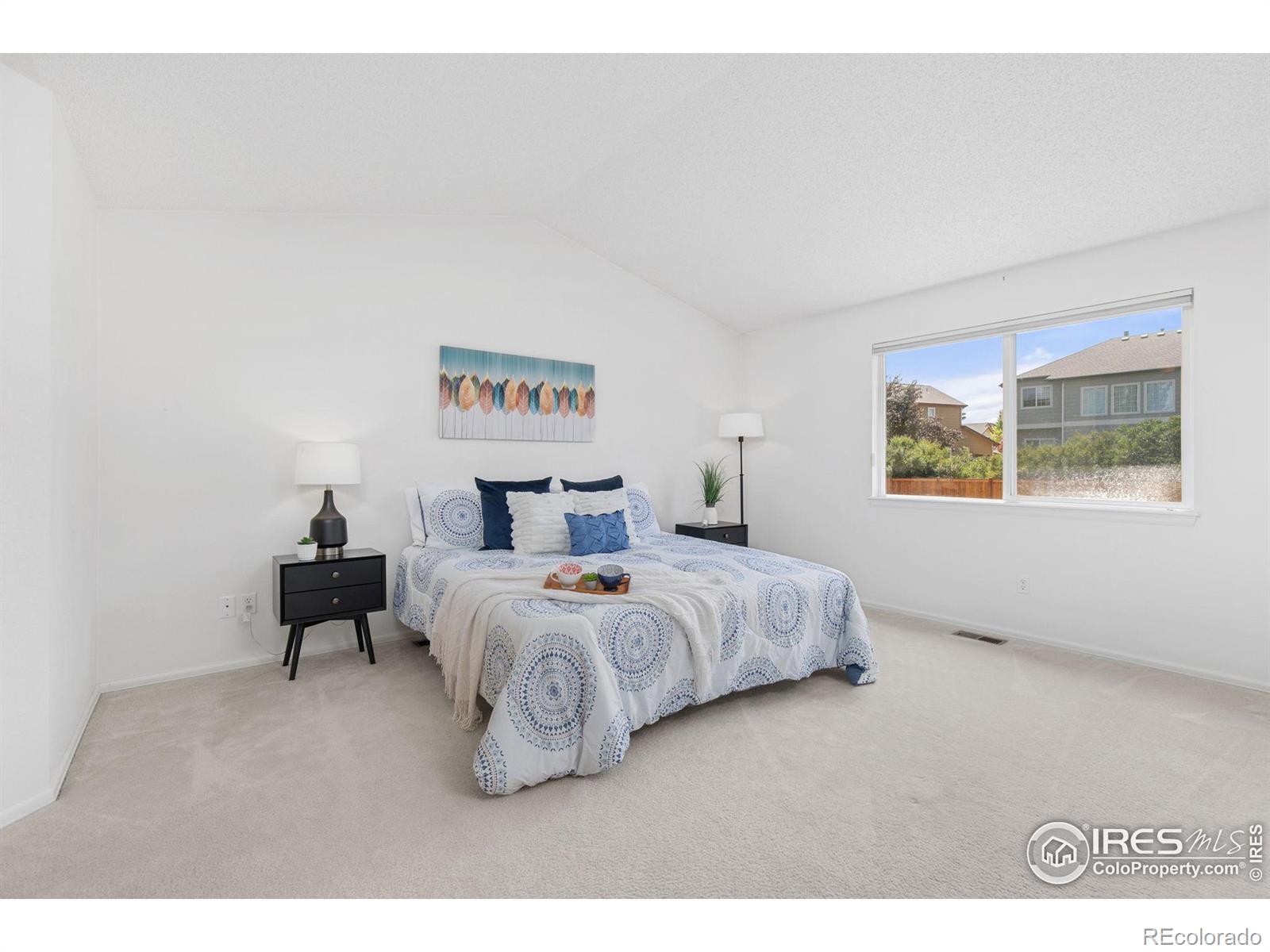 MLS Image #13 for 1313  bramble place,longmont, Colorado