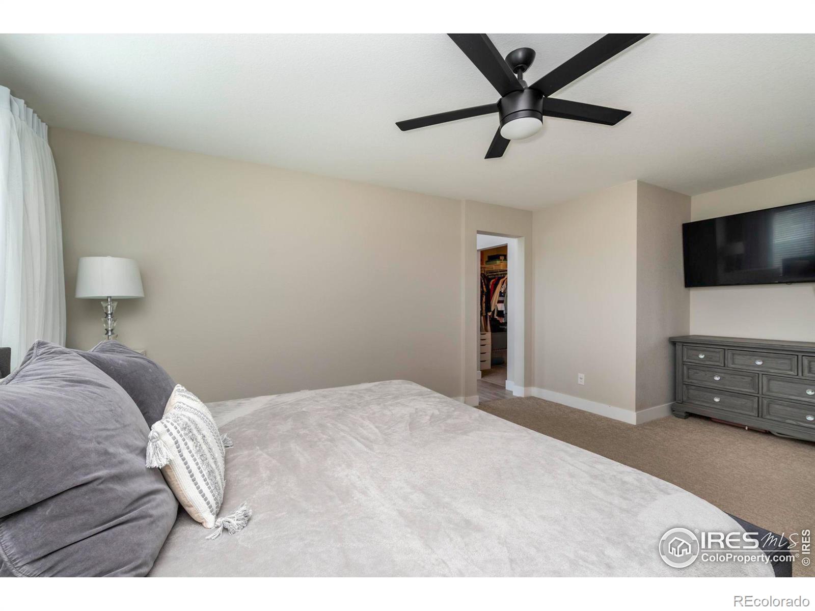 MLS Image #13 for 4340  mt shavano street,brighton, Colorado