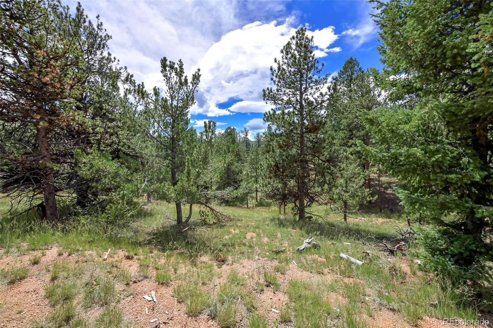 MLS Image #24 for 109  blue bell circle,cripple creek, Colorado