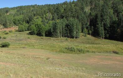 MLS Image #37 for 109  blue bell circle,cripple creek, Colorado