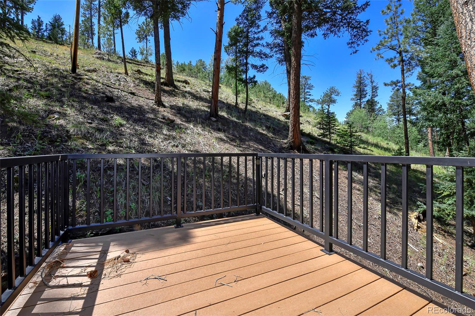 MLS Image #10 for 136  rudy drive,woodland park, Colorado