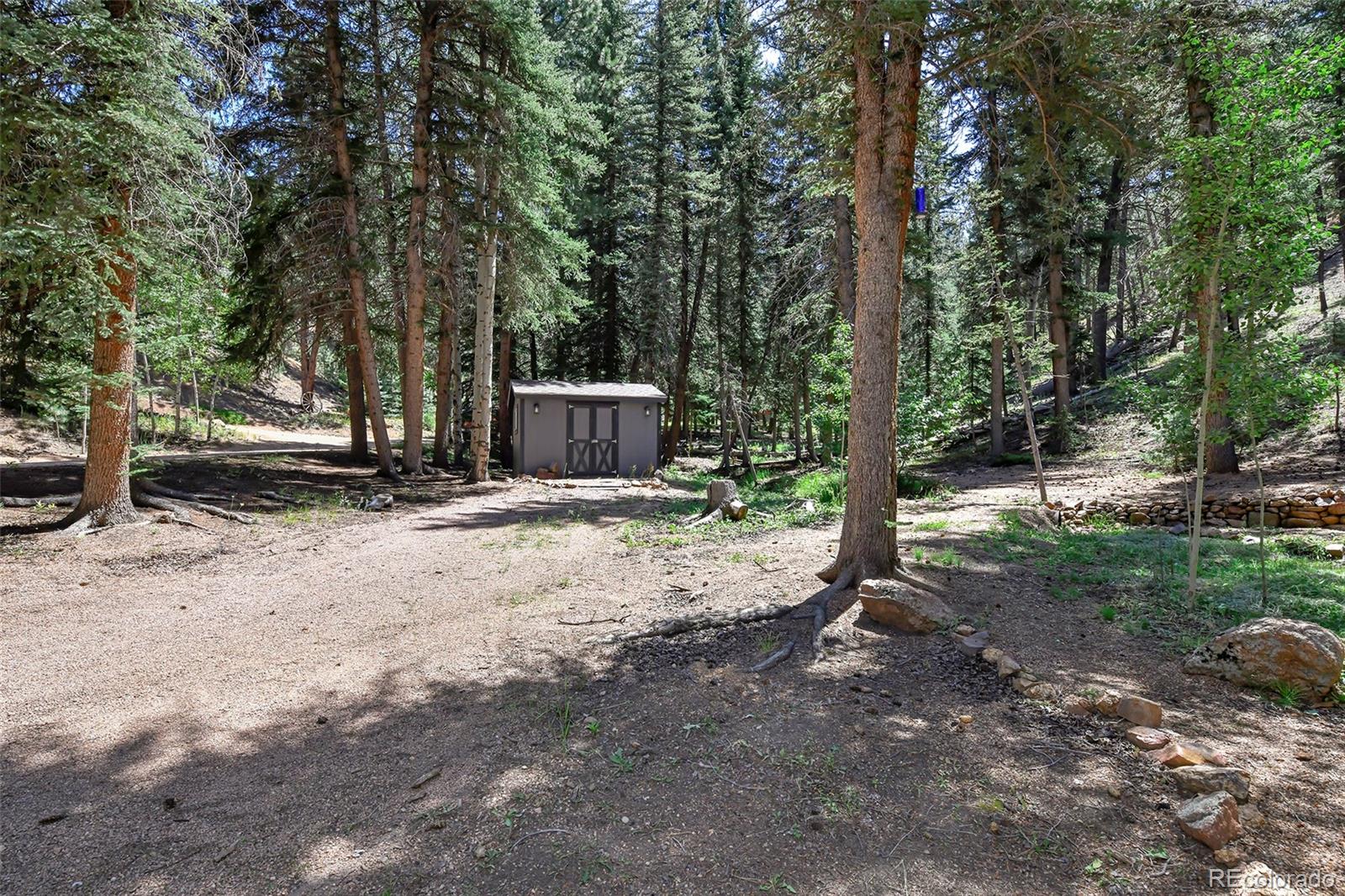 MLS Image #14 for 136  rudy drive,woodland park, Colorado