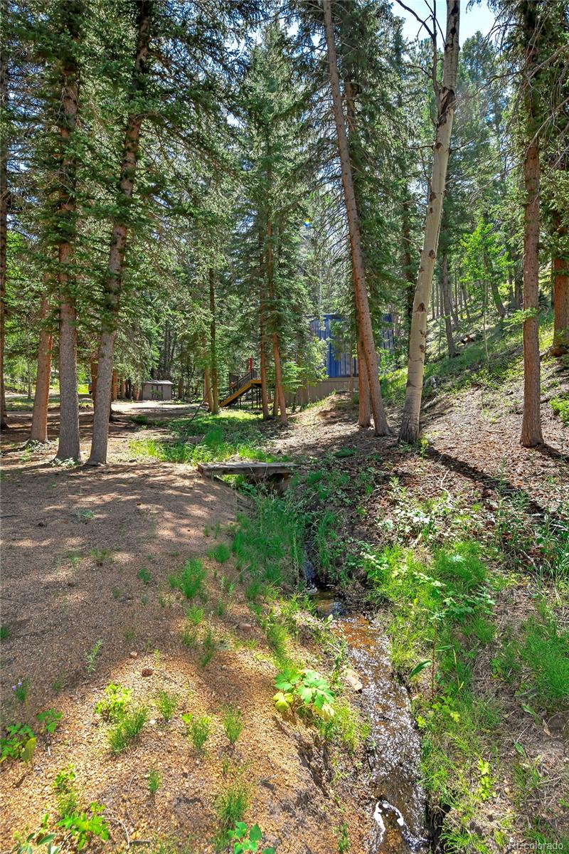 MLS Image #15 for 136  rudy drive,woodland park, Colorado