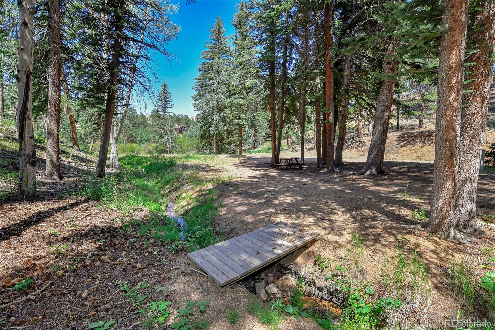 MLS Image #16 for 136  rudy drive,woodland park, Colorado